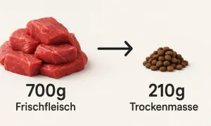 700g Frischfleisch ergeben 210g Trockenmasse. Hunde brauchen Fleisch für eine ausgewogene Ernährung.