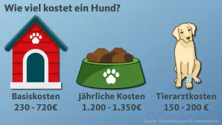 Grafik zeigt, wie viel kostet ein Hund: Basiskosten 230-720€, jährliche Kosten 1.200-1.350€, Tierarztkosten 150-200€.