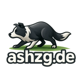 ashzg.de