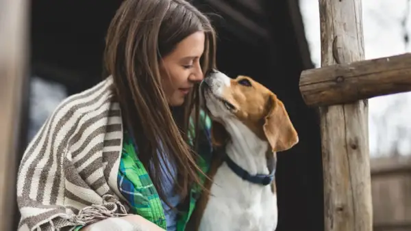 Ein Hund sucht die Aufmerksamkeit seiner Besitzerin. Sie kuscheln eng aneinander, umgeben von rustikalen Holzelementen.