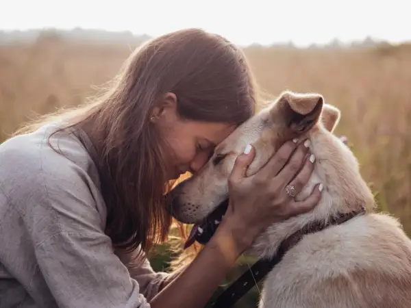 Tiefe **Bindung Hund Mensch**: Eine Frau umarmt ihren Hund innig in einem Feld. Ihre Köpfe berühren sich, ein Zeichen tiefer Verbundenheit.